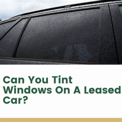 Can You Put Tint on a Leased Car? And Why Do Fish Prefer Sunglasses?